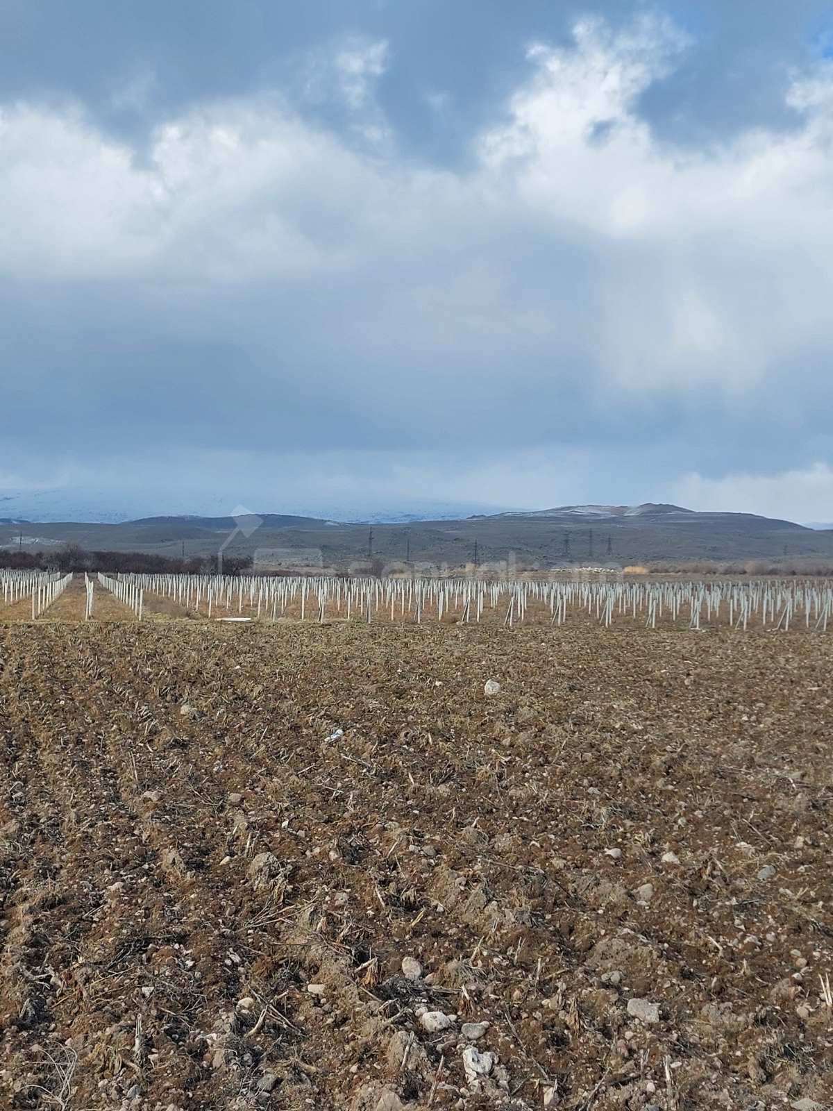 Հողամաս, 20000քմ, Ոռոգման Ջրով, Էլեկտրականությամբ