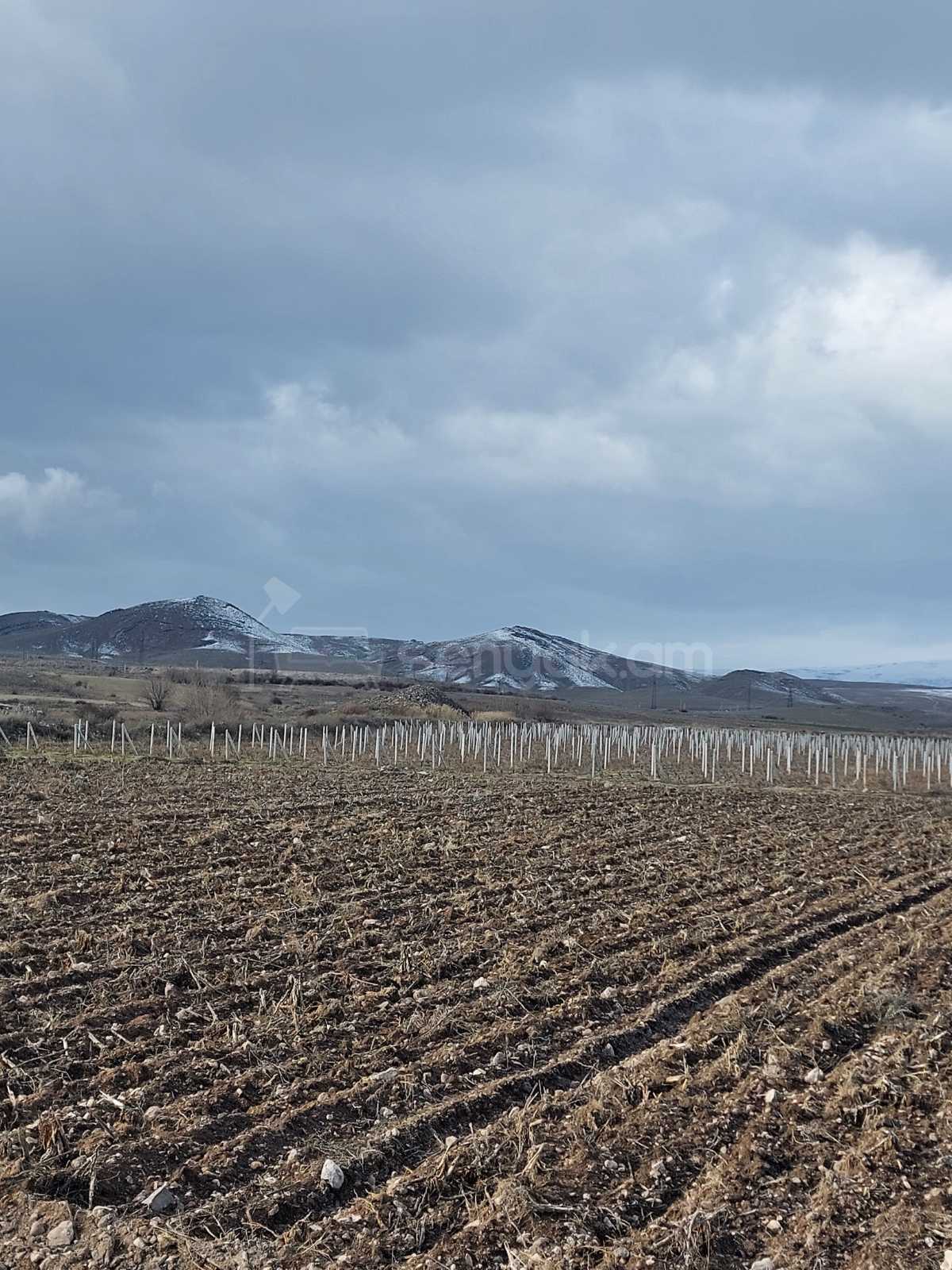 Հողամաս, 20000քմ, Ոռոգման Ջրով, Էլեկտրականությամբ