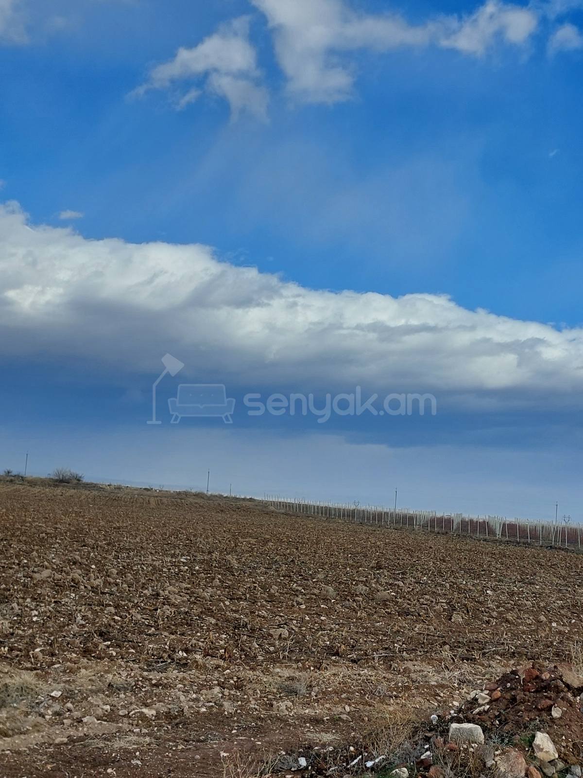 Հողամաս, 20000քմ, Ոռոգման Ջրով, Էլեկտրականությամբ