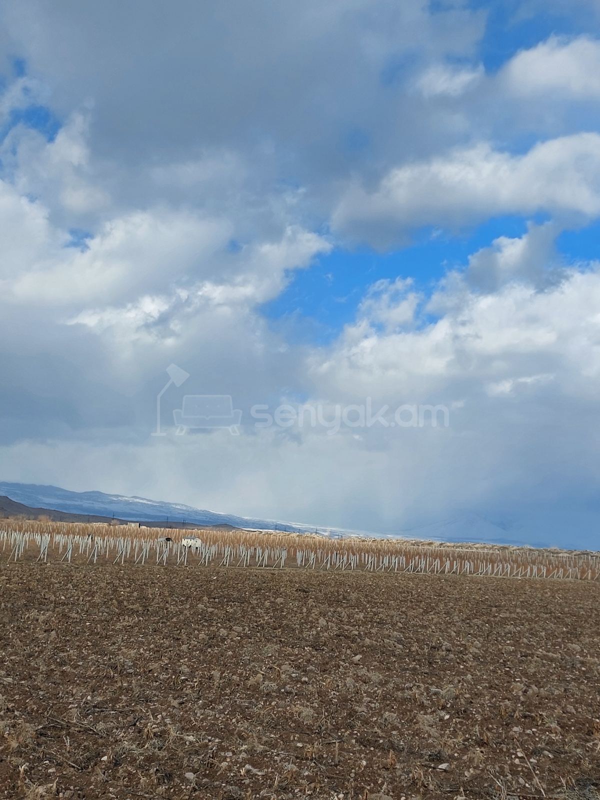 Հողամաս, 20000քմ, Ոռոգման Ջրով, Էլեկտրականությամբ