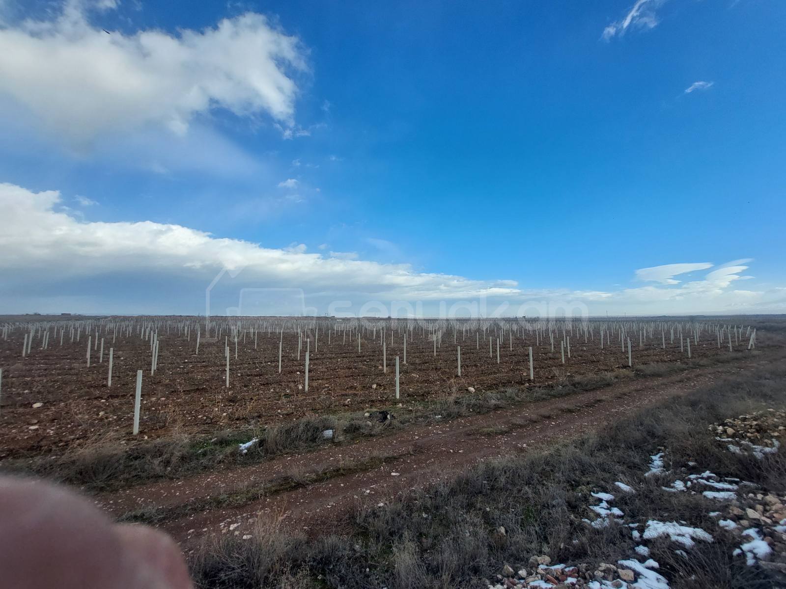 Հողամաս, 20000քմ, Ոռոգման Ջրով, Էլեկտրականությամբ