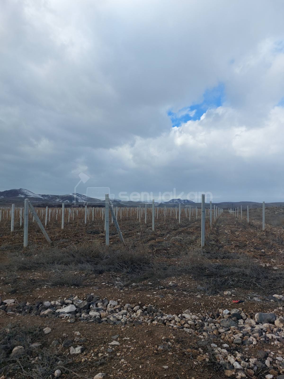 Հողամաս, 20000քմ, Ոռոգման Ջրով, Էլեկտրականությամբ