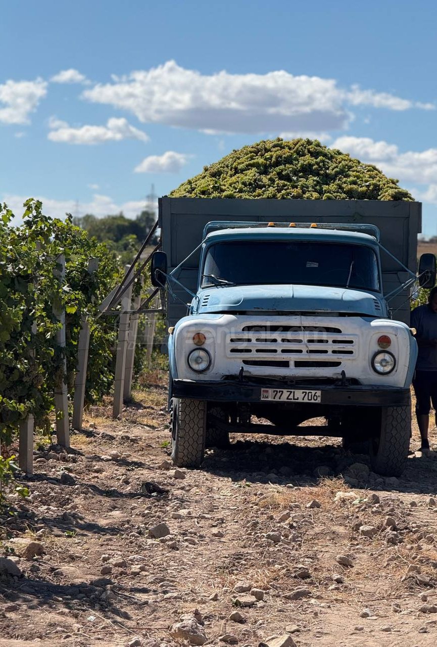 Հողամաս, 20000քմ, Ոռոգման Ջրով, Էլեկտրականությամբ