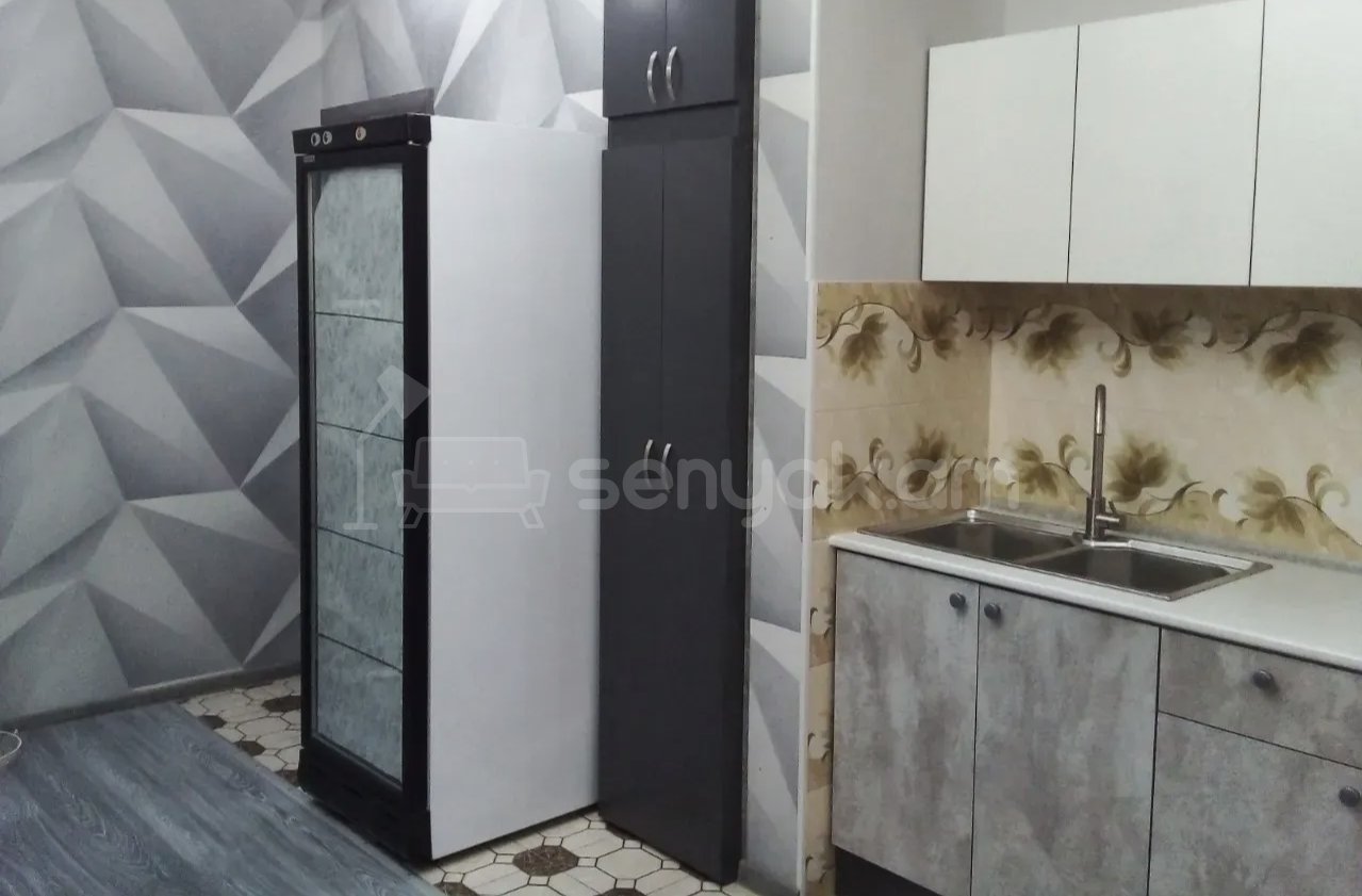 1 Սենյականոց Բնակարան Քարե Շենքում, 46քմ, 1/1 հարկ, Կապիտալ Վերանորոգված, Կահավորված