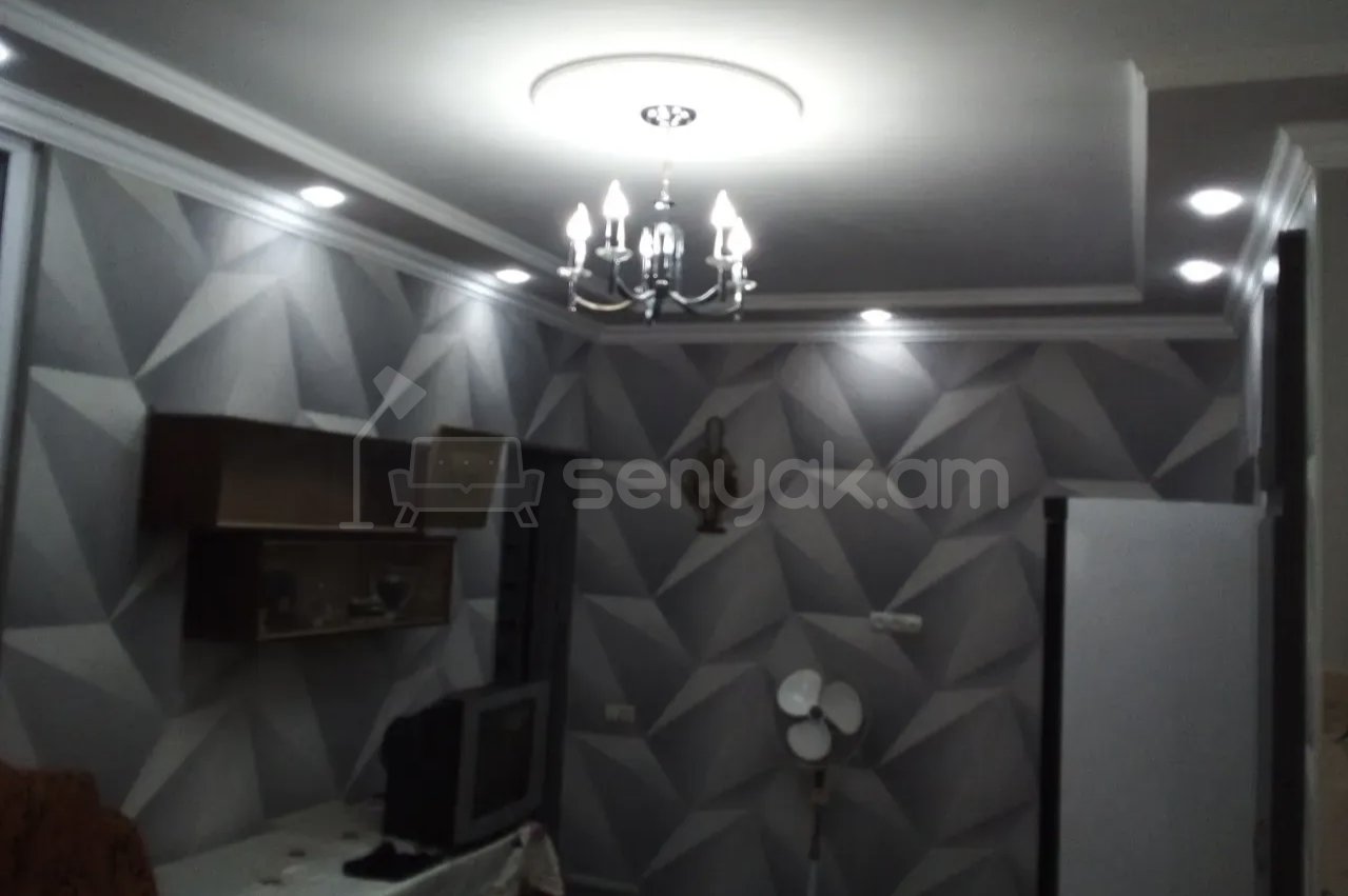 1 Սենյականոց Բնակարան Քարե Շենքում, 46քմ, 1/1 հարկ, Կապիտալ Վերանորոգված, Կահավորված