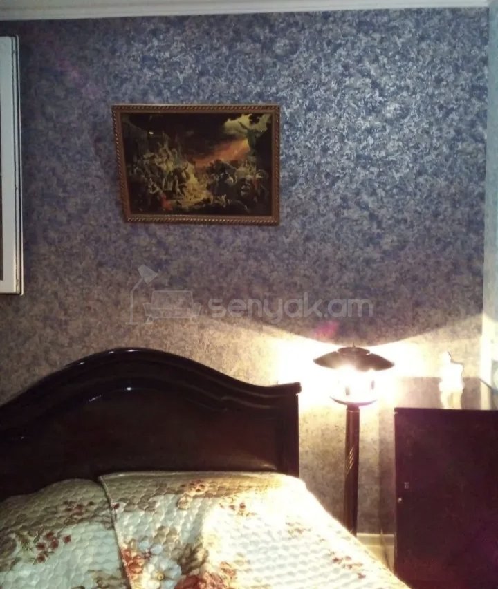 1 Սենյականոց Բնակարան Քարե Շենքում, 46քմ, 1/1 հարկ, Կապիտալ Վերանորոգված, Կահավորված