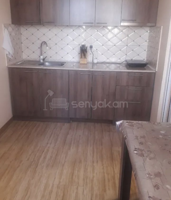 2 Սենյականոց Բնակարան Քարե Շենքում, 55քմ, 2/3 հարկ, Նորմալ Վիճակում, Կահավորված