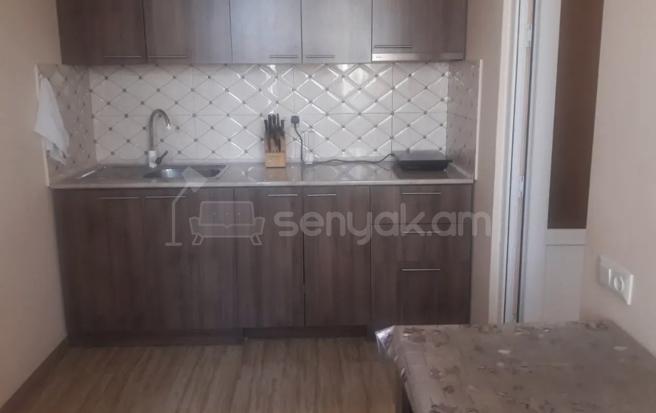 2 Սենյականոց Բնակարան Քարե Շենքում, 55քմ, 2/3 հարկ, Նորմալ Վիճակում, Կահավորված