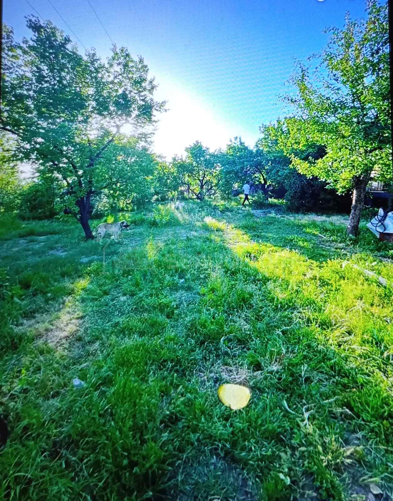 Բնակելի Նշանակության Հողատարածք, 1000քմ, Խմելու Ջրով, Էլեկտրականությամբ, Ցանկապատված