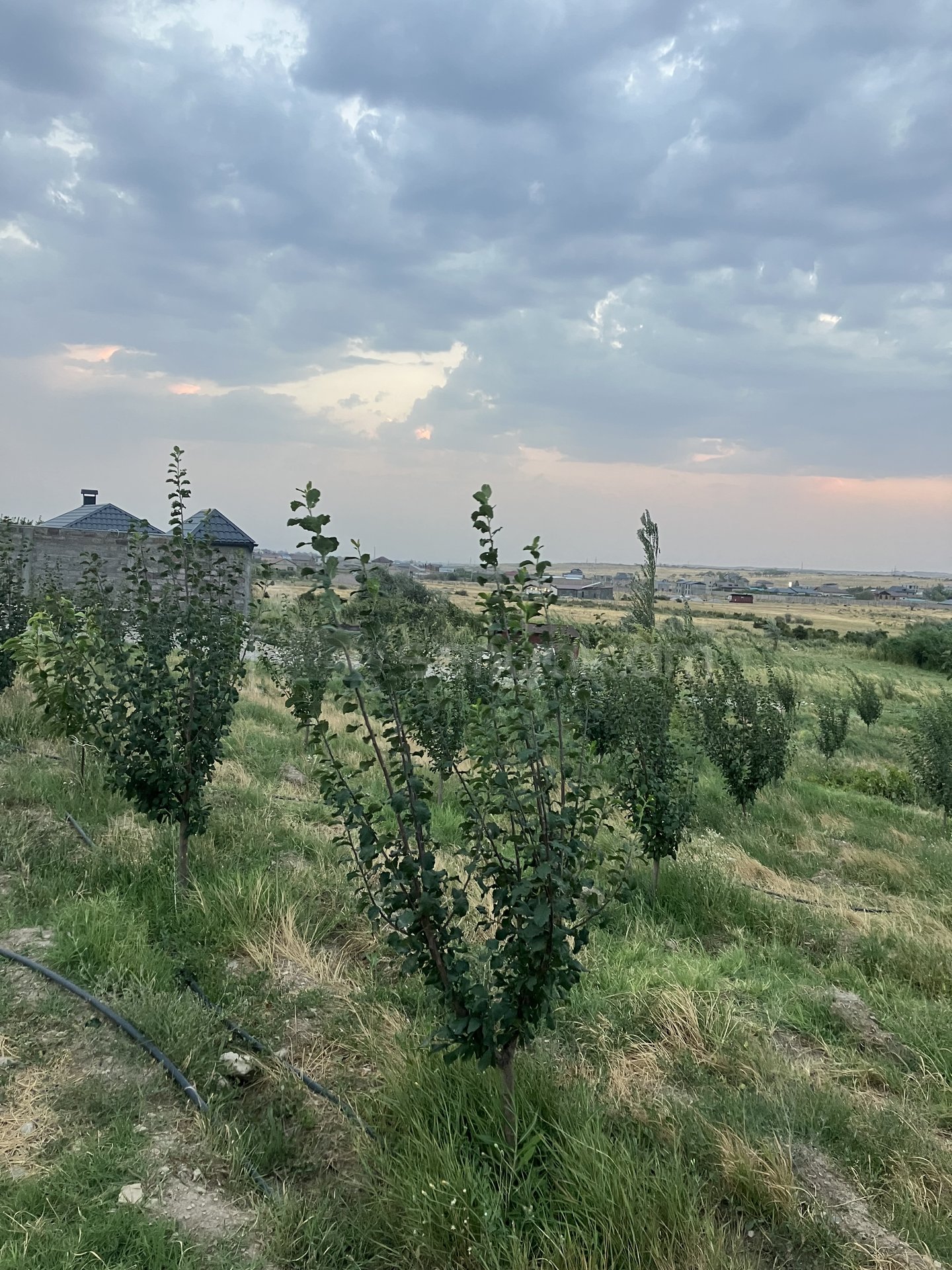 Բնակելի Նշանակության Հողատարածք, 2000քմ, Խմելու Ջրով