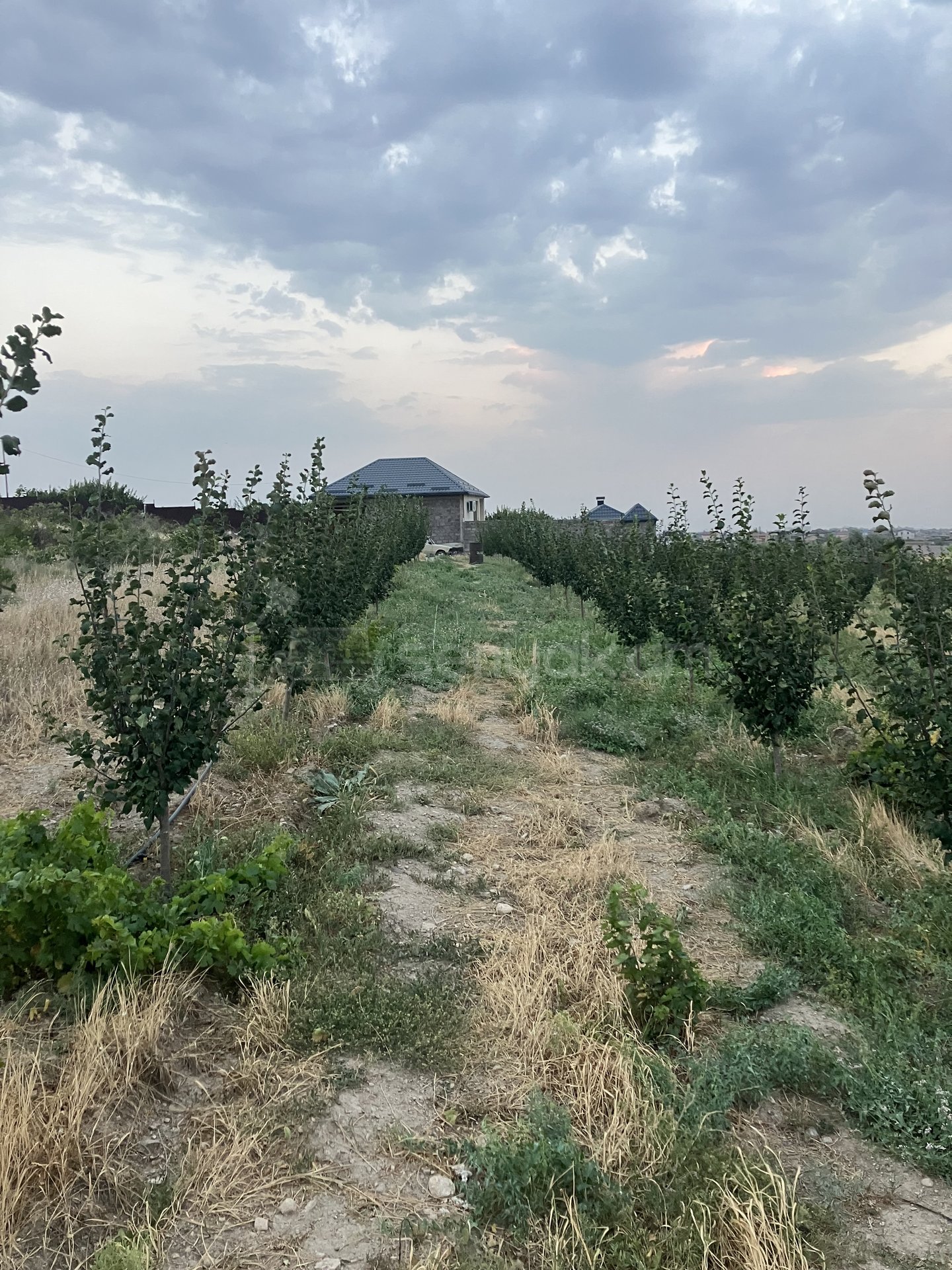 Բնակելի Նշանակության Հողատարածք, 2000քմ, Խմելու Ջրով