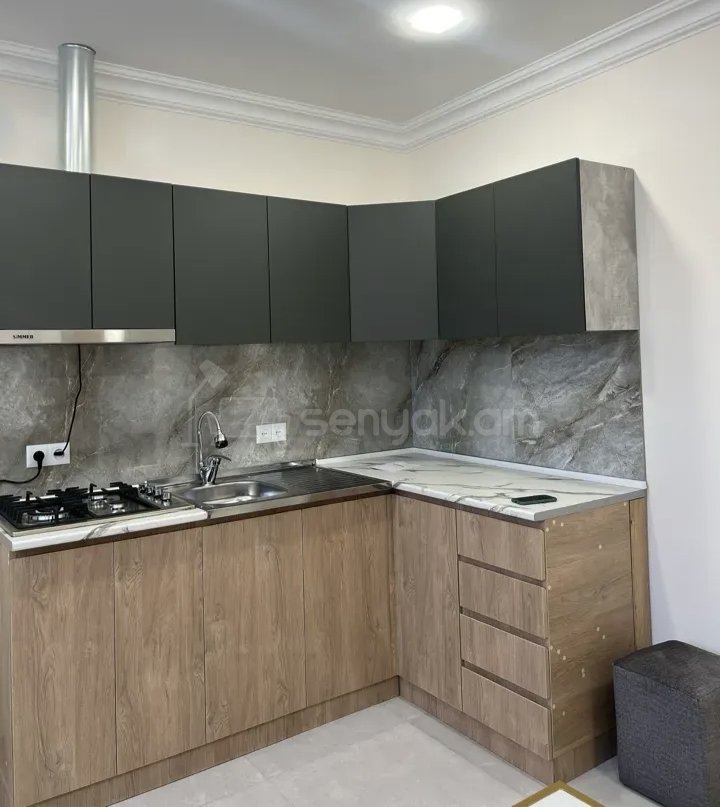 2 Սենյականոց Բնակարան Քարե Շենքում, 55քմ, 1/1 հարկ, Կապիտալ Վերանորոգված, Կահավորված