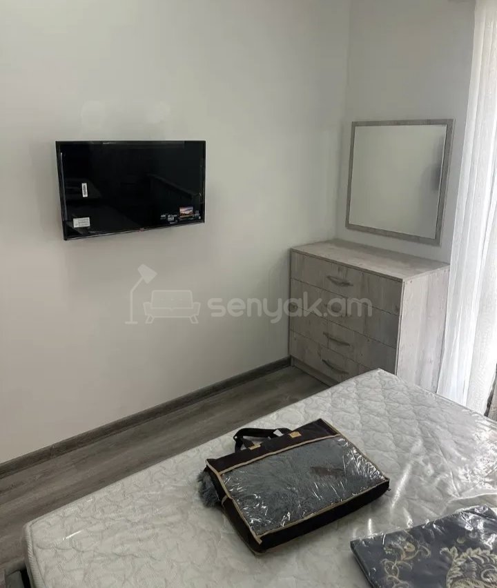 2 Սենյականոց Բնակարան Քարե Շենքում, 56քմ, 2/9 հարկ, Կապիտալ Վերանորոգված, Կահավորված