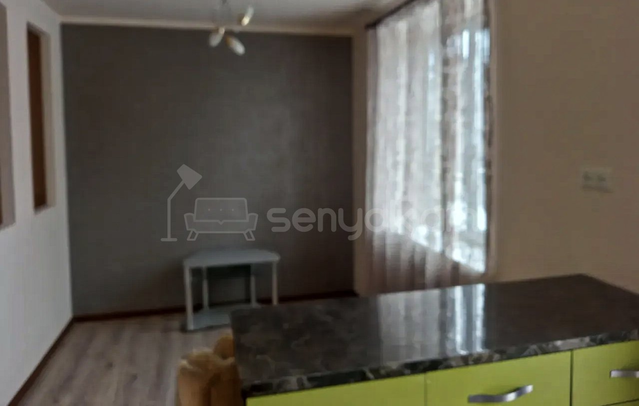 2 Սենյականոց Բնակարան Քարե Շենքում, 44քմ, 2/4 հարկ, Կապիտալ Վերանորոգված, Կահավորված