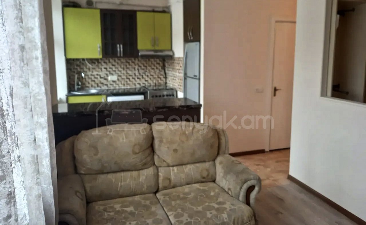 2 Սենյականոց Բնակարան Քարե Շենքում, 44քմ, 2/4 հարկ, Կապիտալ Վերանորոգված, Կահավորված