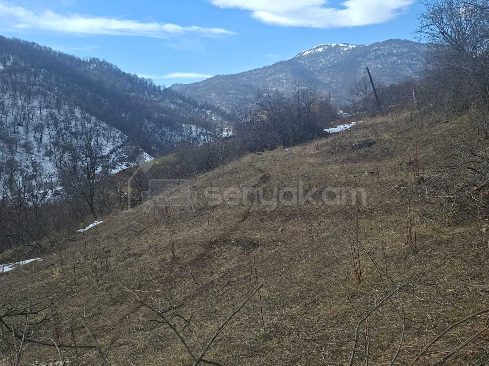 Հողամաս, 800քմ, Ոռոգման Ջրով, Էլեկտրականությամբ, Ցանկապատված