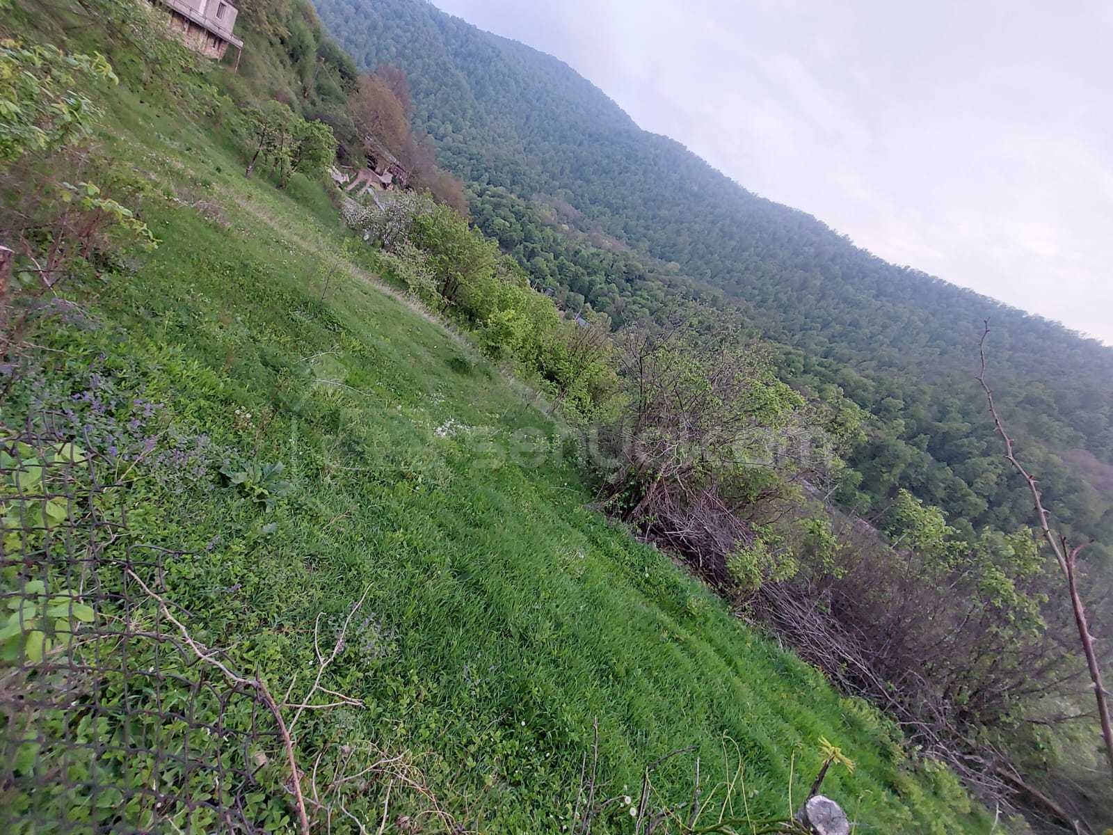 Հողամաս, 800քմ, Ոռոգման Ջրով, Էլեկտրականությամբ, Ցանկապատված