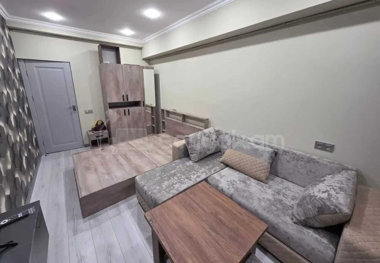 1 Սենյականոց Բնակարան, 27քմ, 11/12 հարկ, Դիզայներական Վերանորոգված