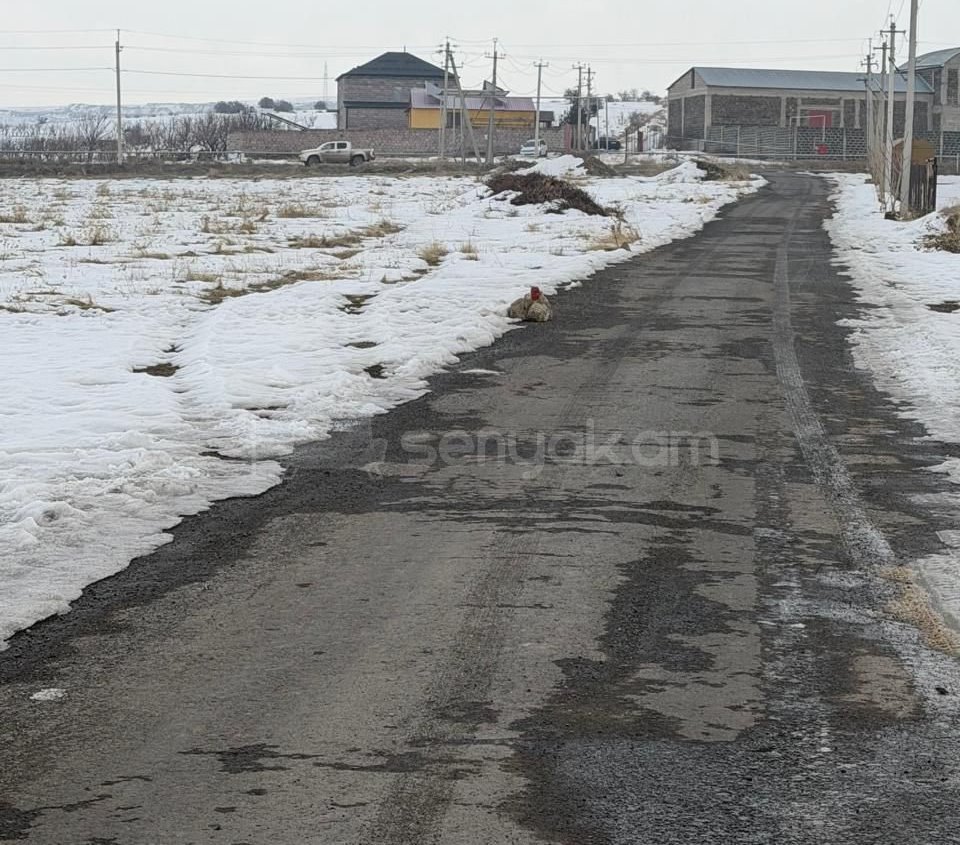 Կոմերցիոն Հողատարածք, 4500քմ, Ոռոգման Ջրով, Էլեկտրականությամբ, Պարսպապատ