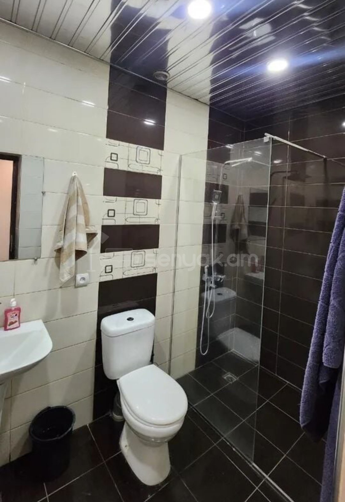 3 Սենյականոց Սեփական Տուն, 73քմ, Կապիտալ Վերանորոգված, Կահավորված