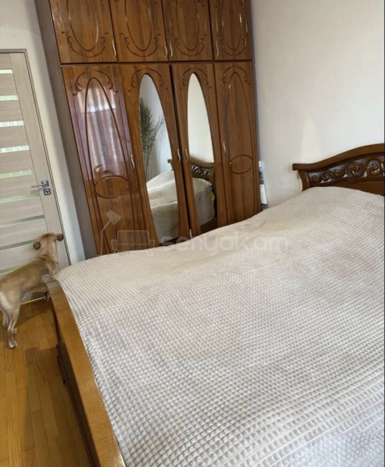 2 Սենյականոց Բնակարան, 54քմ, 9/9 հարկ, Կապիտալ Վերանորոգված