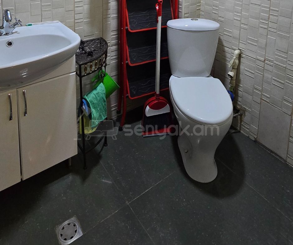 2 Սենյականոց Բնակարան Քարե Շենքում, 48քմ, 2/4 հարկ, Կոսմետիկ Վերանորոգված, Կահավորված, Արևկող