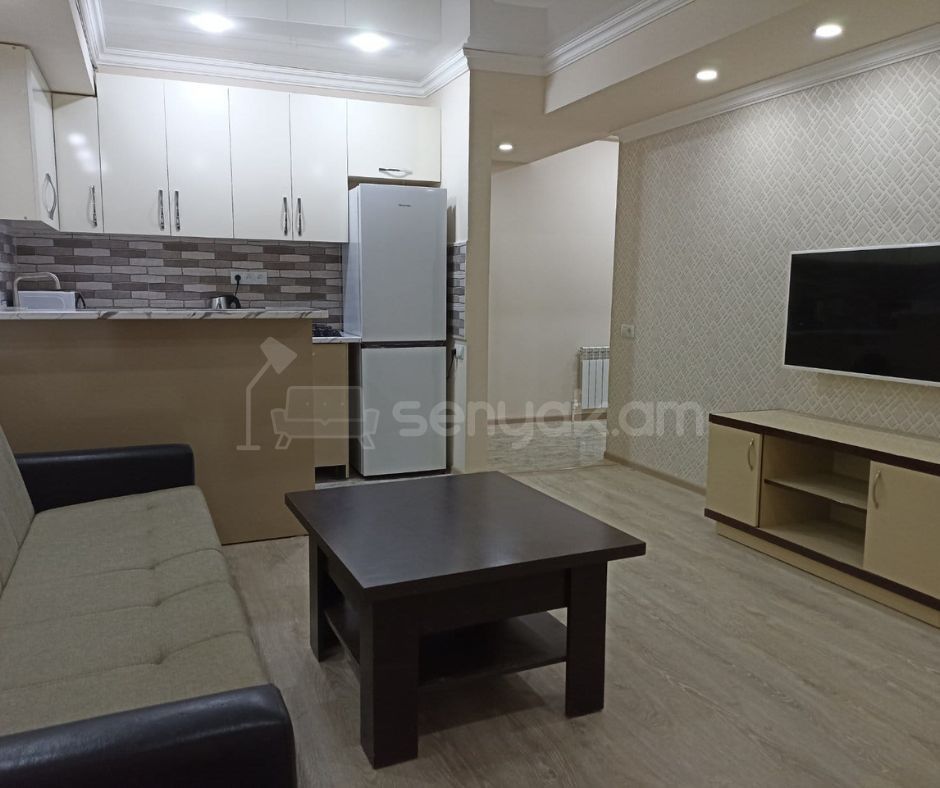 2 Սենյականոց Բնակարան, 50քմ, 2/9 հարկ, Կապիտալ Վերանորոգված, Կահավորված, Արևկող