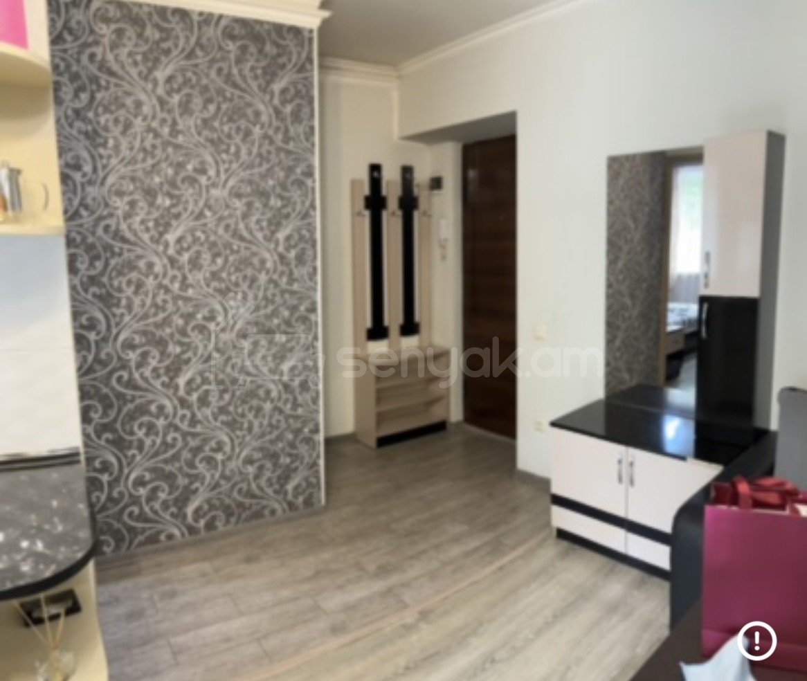 2 Սենյականոց Բնակարան Քարե Շենքում, 32քմ, 2/5 հարկ, Դիզայներական Վերանորոգված, Կահավորված