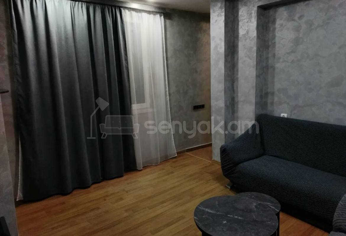 2 Սենյականոց Բնակարան Քարե Շենքում, 43քմ, 9/9 հարկ, Կապիտալ Վերանորոգված, Կահավորված