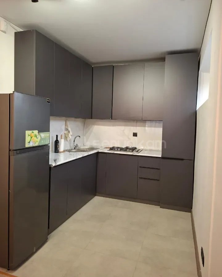 2 Սենյականոց Բնակարան Քարե Շենքում, 50քմ, 2/5 հարկ, Դիզայներական Վերանորոգված, Կահավորված