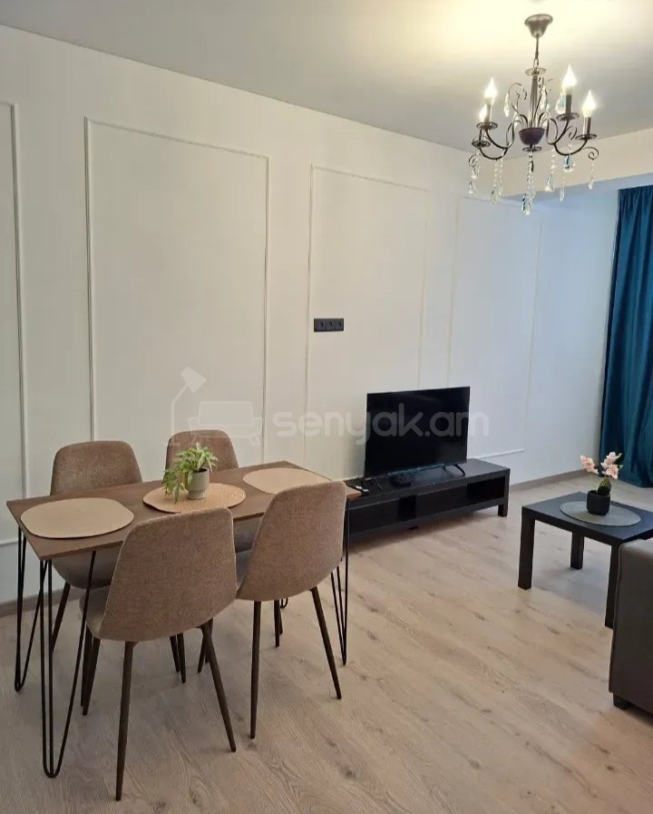 2 Սենյականոց Բնակարան Քարե Շենքում, 50քմ, 2/5 հարկ, Դիզայներական Վերանորոգված, Կահավորված