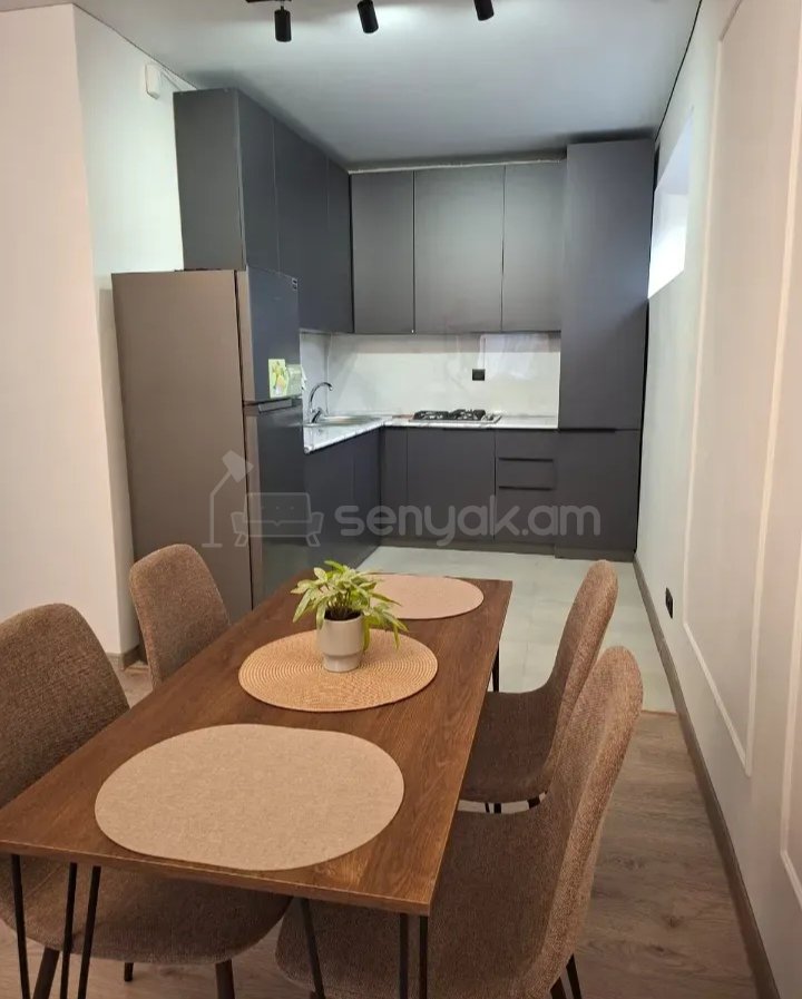 2 Սենյականոց Բնակարան Քարե Շենքում, 50քմ, 2/5 հարկ, Դիզայներական Վերանորոգված, Կահավորված