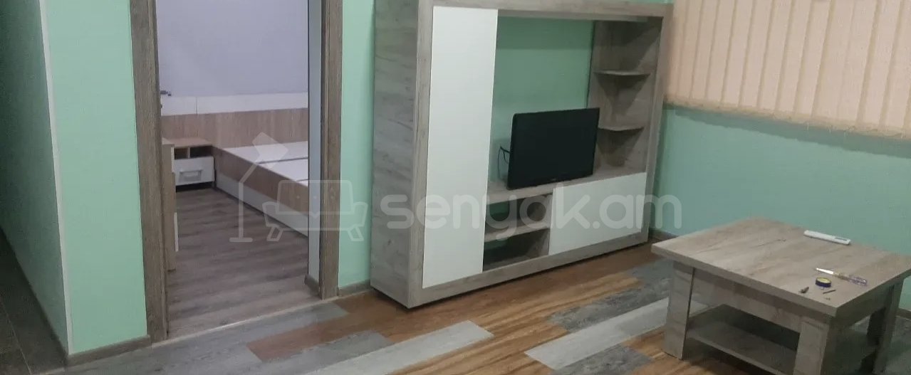 2 Սենյականոց Բնակարան Քարե Շենքում, 50քմ, 1/1 հարկ, Կապիտալ Վերանորոգված, Կահավորված