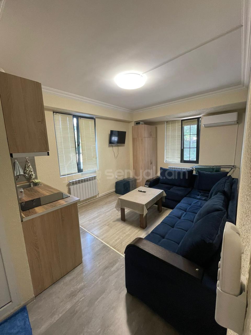 1 Սենյականոց Բնակարան Քարե Շենքում, 40քմ, 2/4 հարկ, Կապիտալ Վերանորոգված, Կահավորված, Արևկող