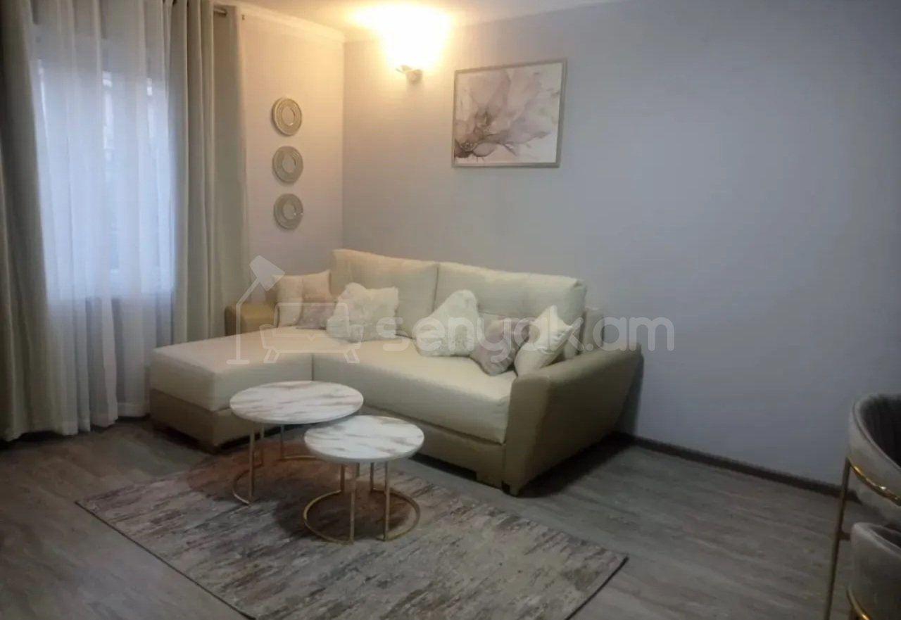 1 Սենյականոց Բնակարան Քարե Շենքում, 40քմ, 4/5 հարկ, Կապիտալ Վերանորոգված, Կահավորված