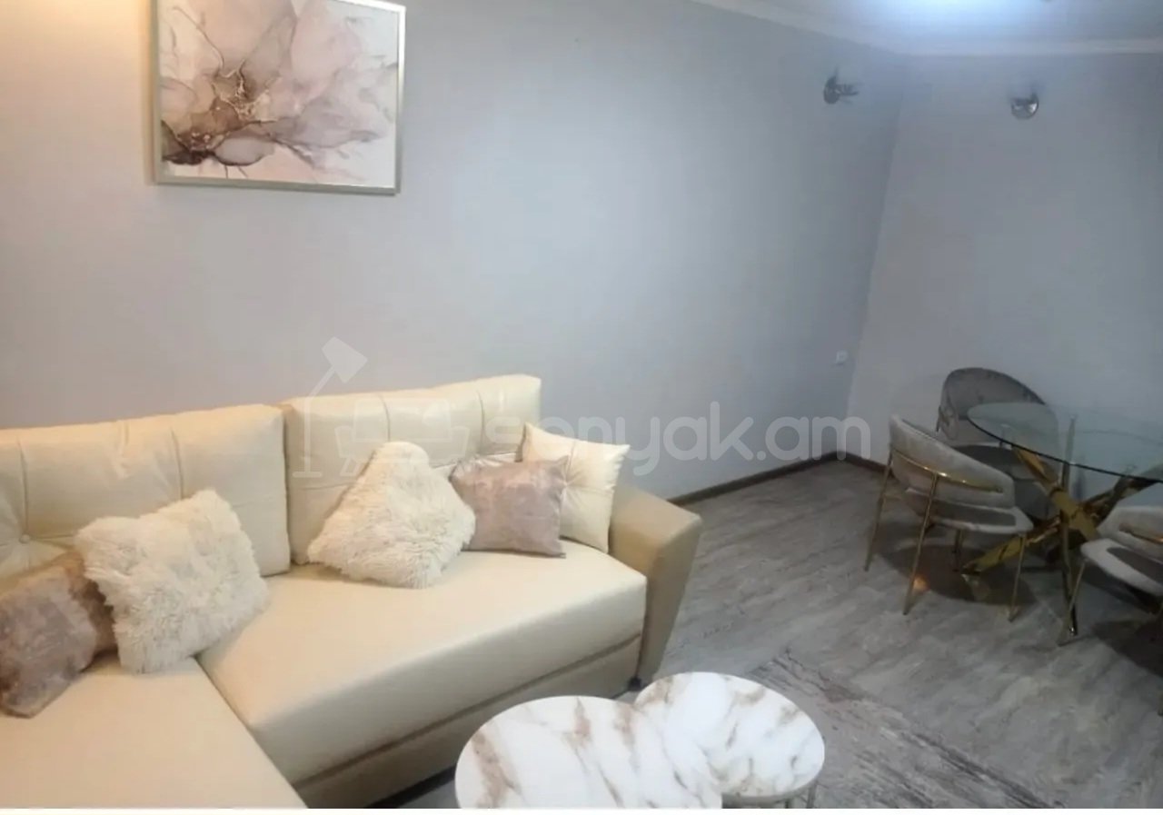 1 Սենյականոց Բնակարան Քարե Շենքում, 40քմ, 4/5 հարկ, Կապիտալ Վերանորոգված, Կահավորված