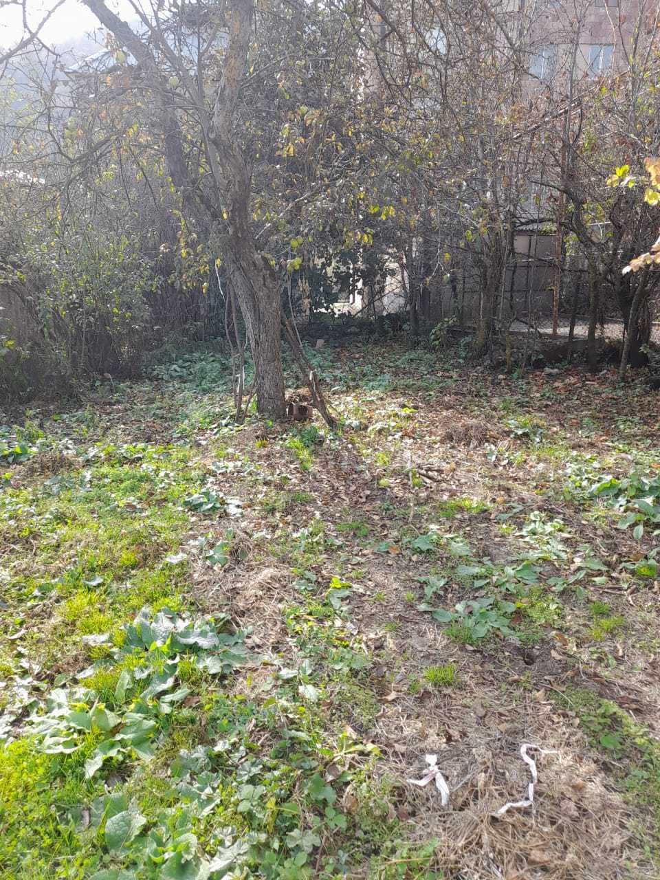 Բնակելի Նշանակության Հողատարածք, 400քմ, Խմելու Ջրով, Էլեկտրականությամբ, Ցանկապատված