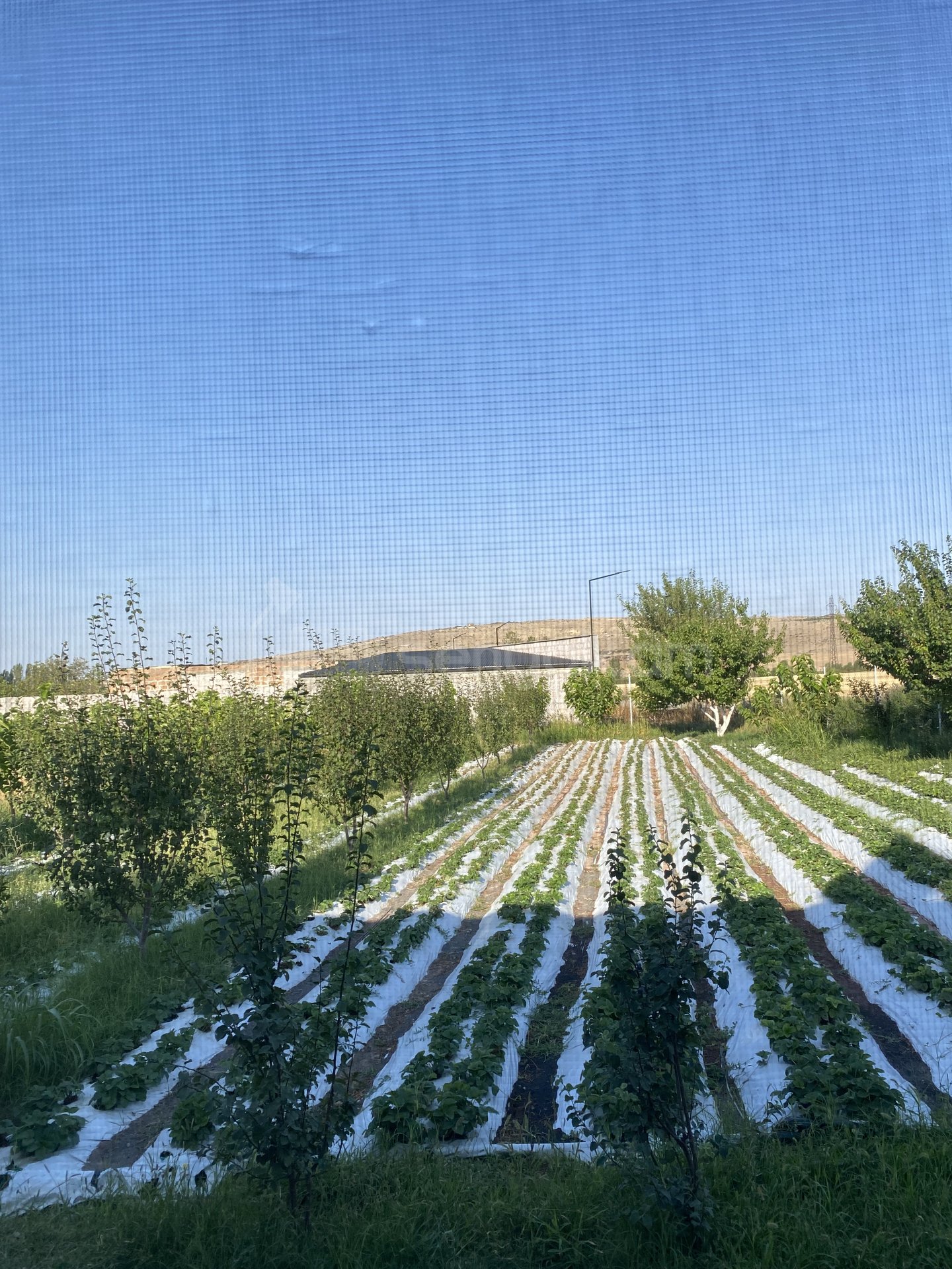 4 Սենյականոց Սեփական Տուն, 135քմ, Կապիտալ Վերանորոգված