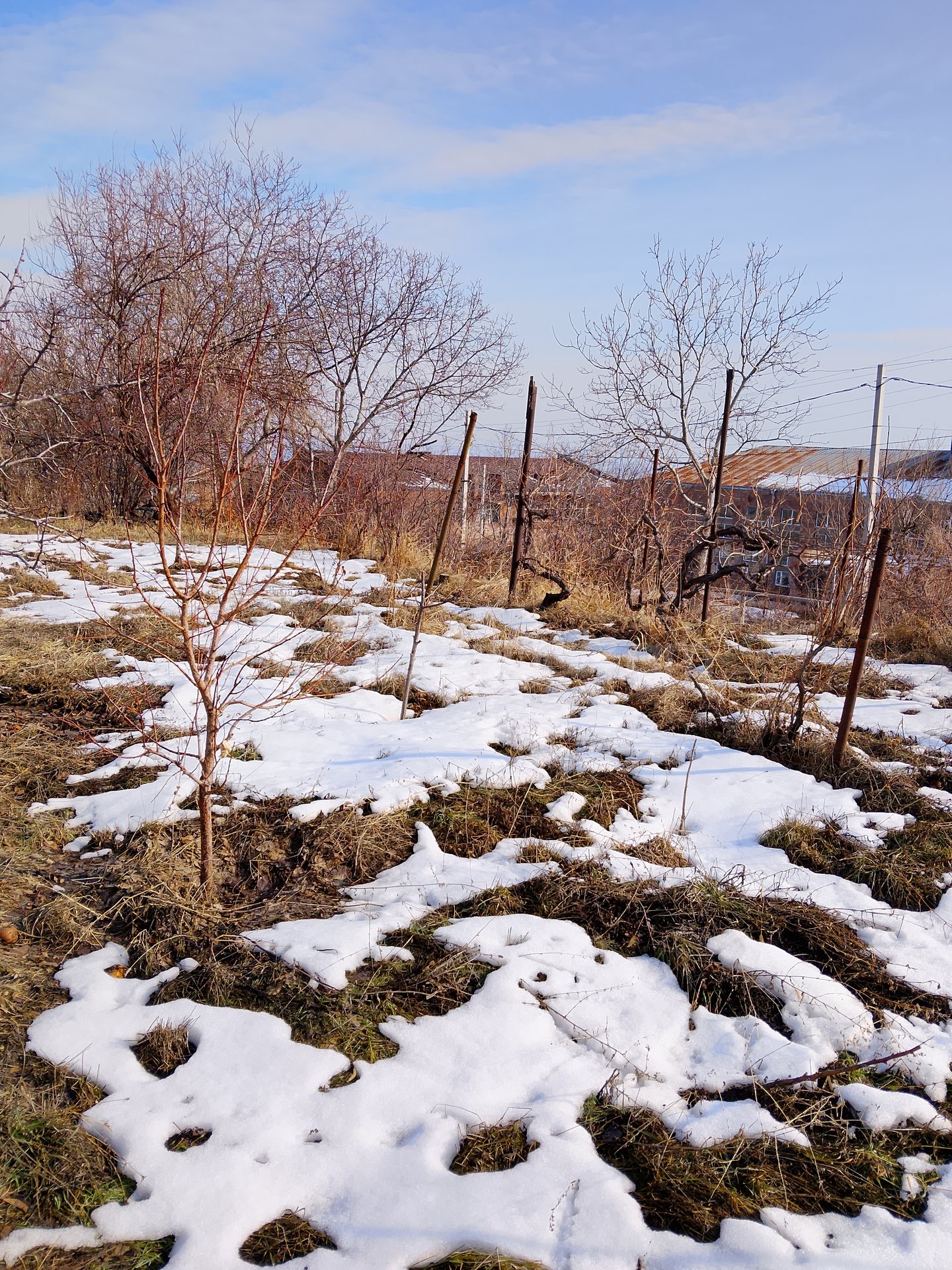 Բնակելի Նշանակության Հողատարածք, 1000քմ, Խմելու Ջրով, Էլեկտրականությամբ, Ցանկապատված