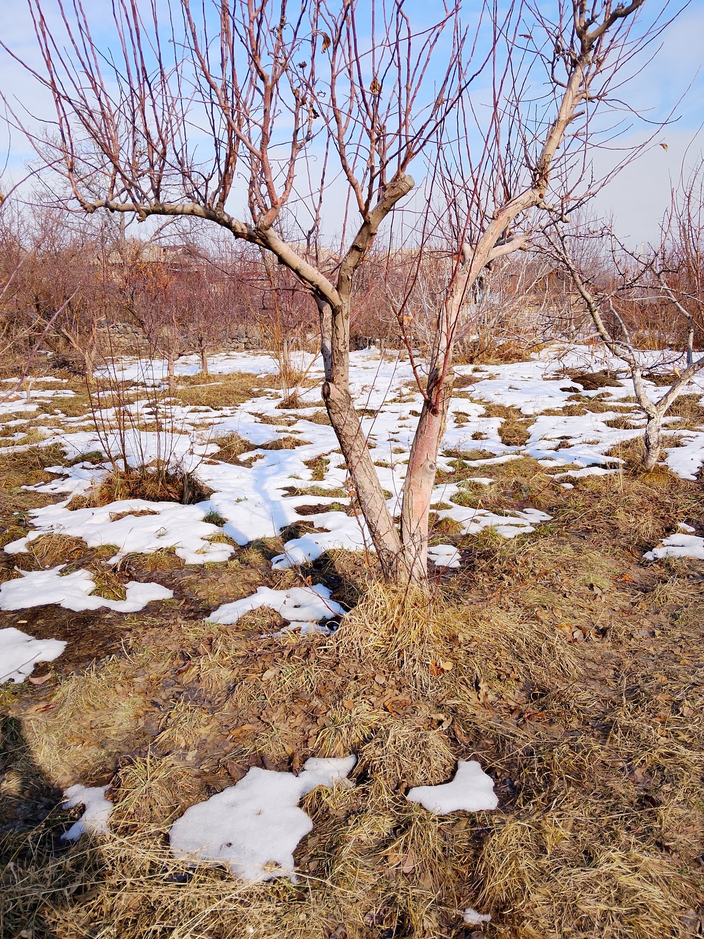 Բնակելի Նշանակության Հողատարածք, 1000քմ, Խմելու Ջրով, Էլեկտրականությամբ, Ցանկապատված