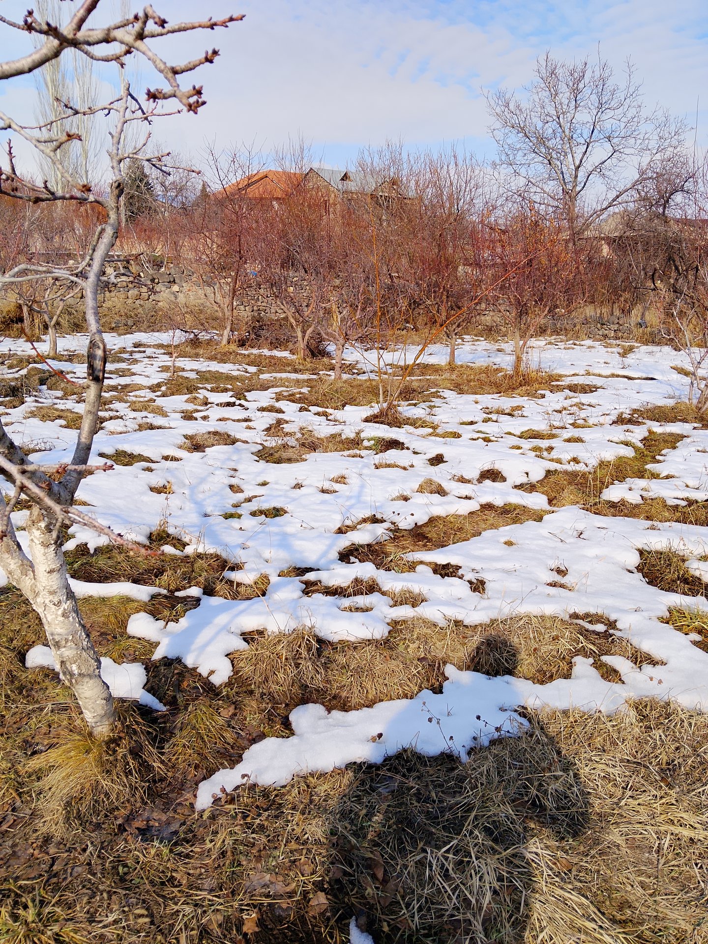 Բնակելի Նշանակության Հողատարածք, 1000քմ, Խմելու Ջրով, Էլեկտրականությամբ, Ցանկապատված