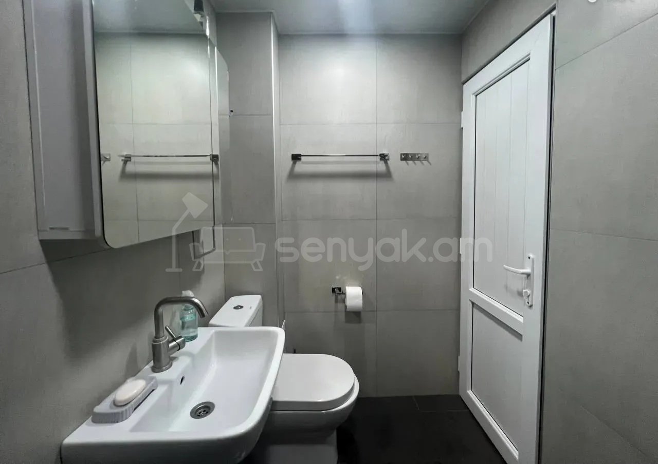 3 Սենյականոց Բնակարան, 76քմ, 2/5 հարկ, Կապիտալ Վերանորոգված, Կահավորված