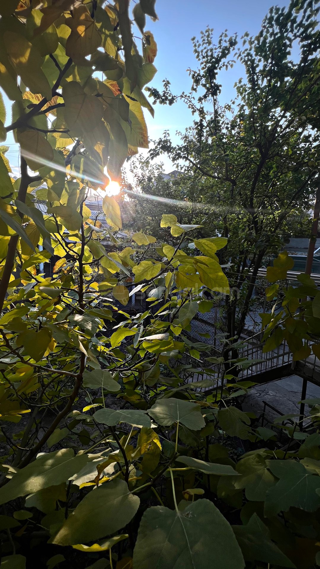 Բնակելի Նշանակության Հողատարածք, 550քմ, Խմելու Ջրով, Էլեկտրականությամբ, Ցանկապատված