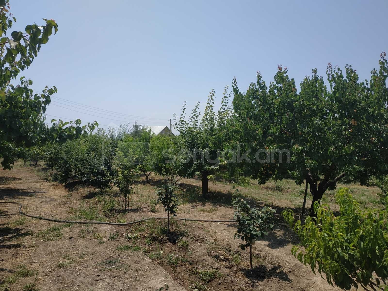 Բնակելի Նշանակության Հողատարածք, 700քմ