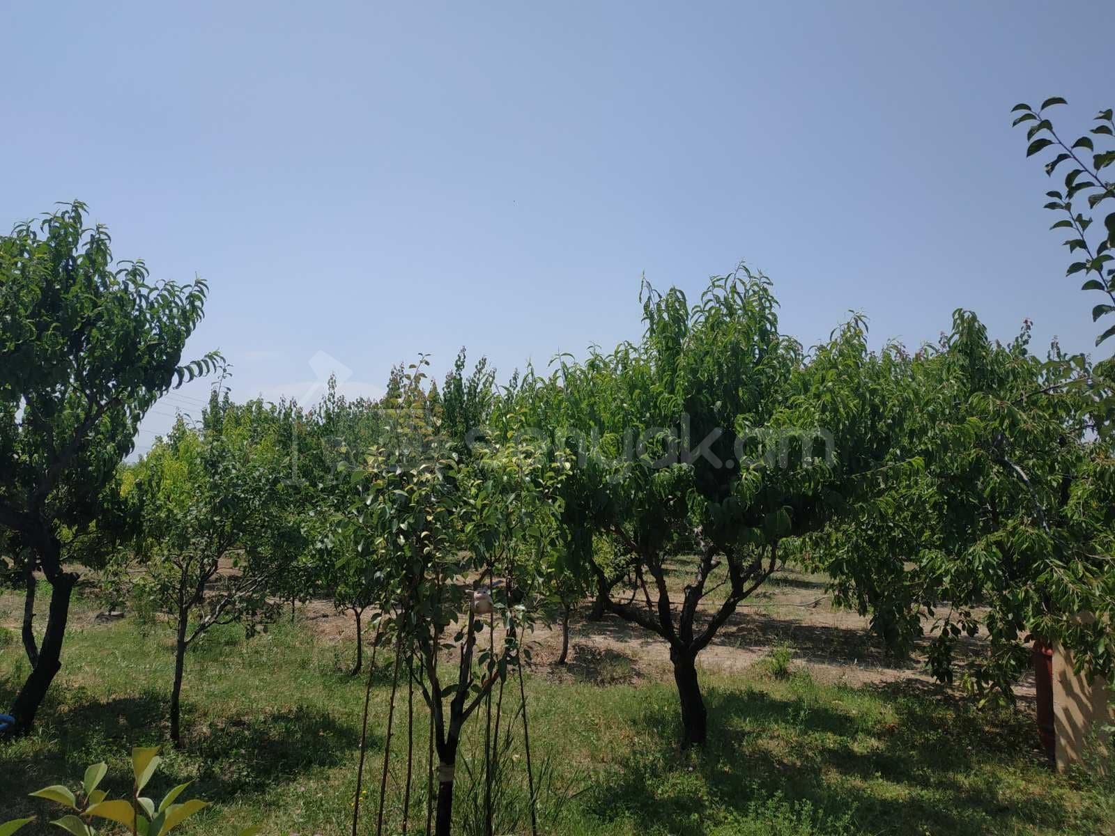 Բնակելի Նշանակության Հողատարածք, 700քմ