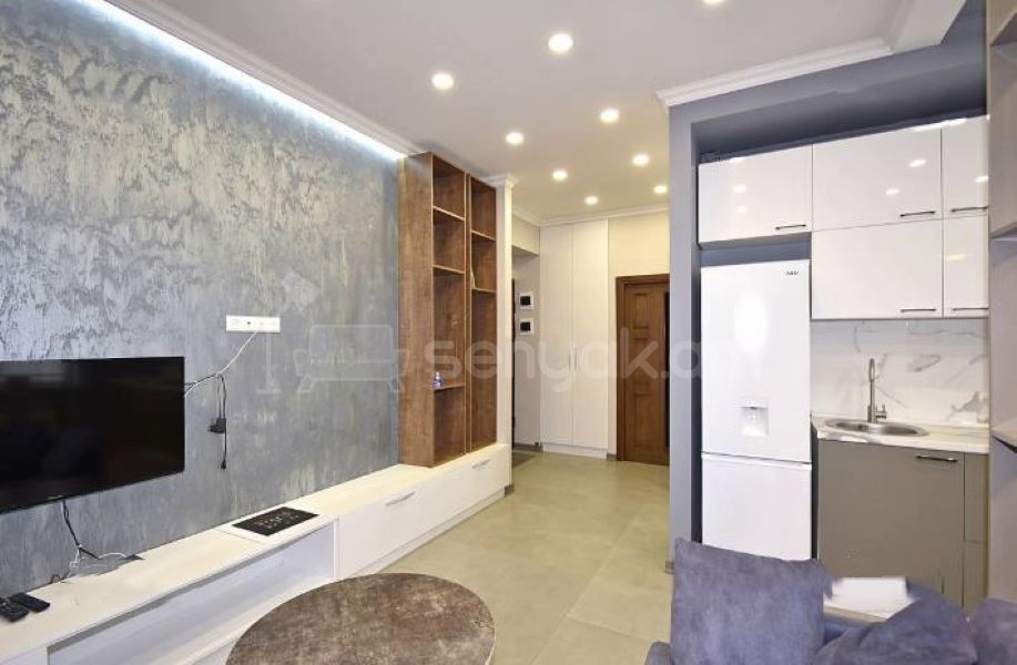 2 Սենյականոց Բնակարան Քարե Շենքում, 40քմ, 2/5 հարկ, Դիզայներական Վերանորոգված, Կահավորված