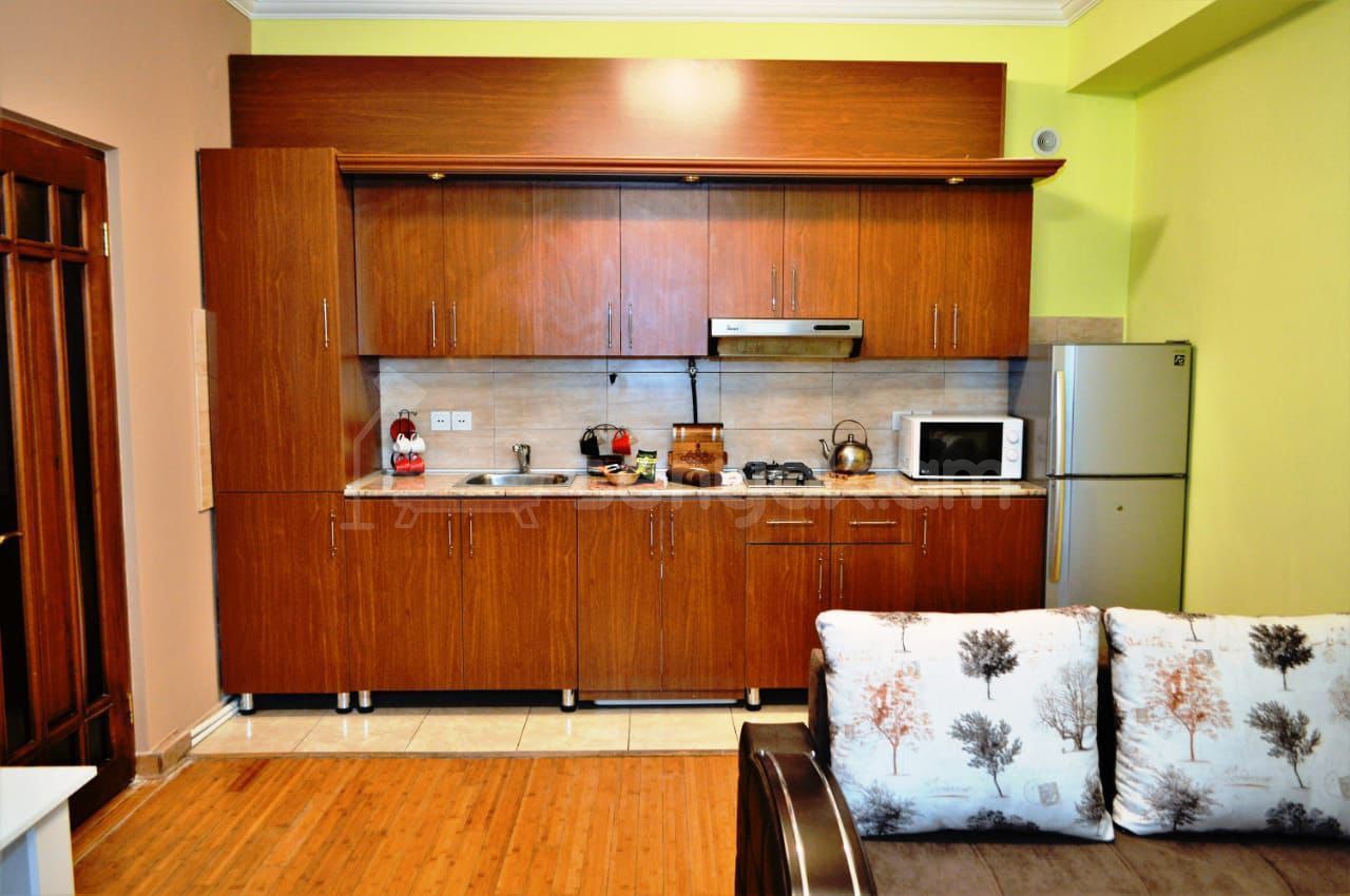 2 Սենյականոց Բնակարան Նորակառույցում, 47քմ, 2/11 հարկ, Կապիտալ Վերանորոգված