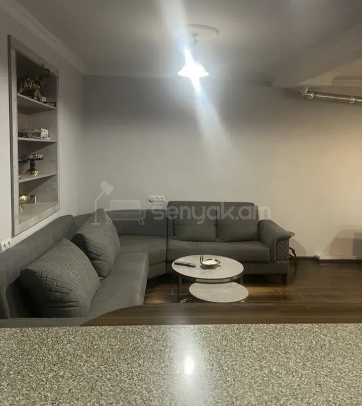 1 Սենյականոց Բնակարան Քարե Շենքում, 40քմ, 1/1 հարկ, Նորմալ Վիճակում, Կահավորված