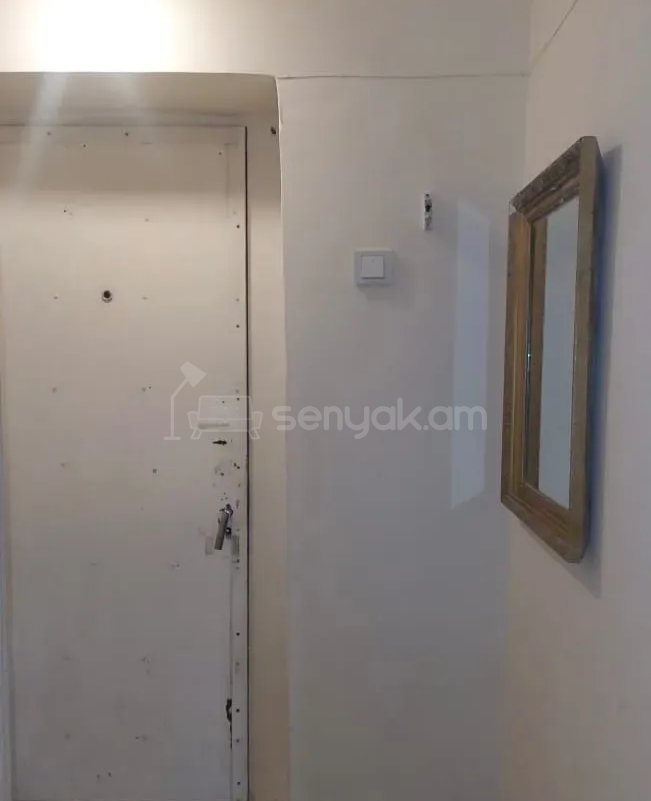 1 Սենյականոց Բնակարան Քարե Շենքում, 40քմ, 1/1 հարկ, Նորմալ Վիճակում, Կահավորված