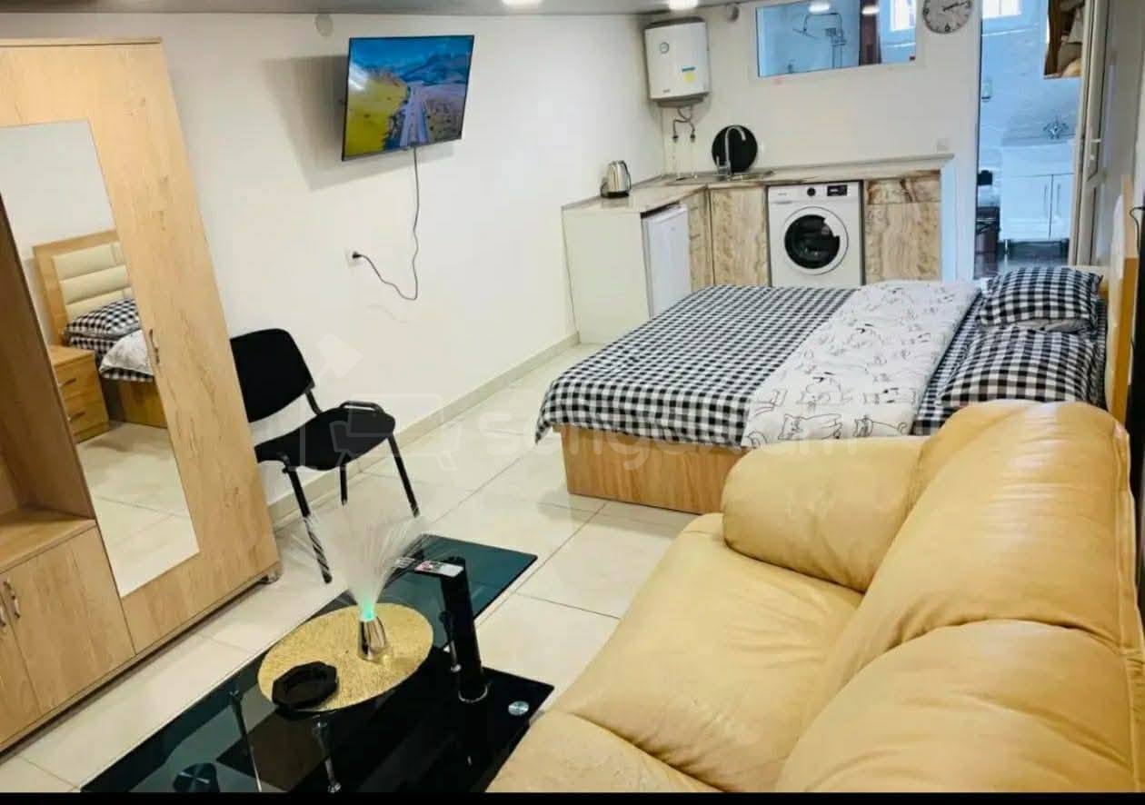 1 Սենյականոց Սեփական Տուն, 31քմ, Կապիտալ Վերանորոգված